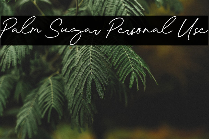 Palm Sugar Personal Use Example 3