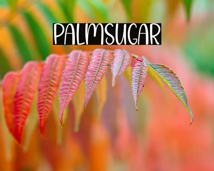 Palm Sugar Example 3