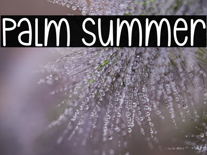 Palm Summer Example 1