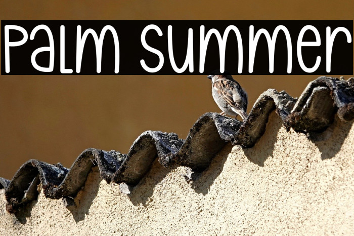 Palm Summer Example 3