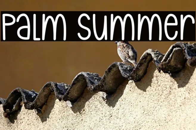 Palm Summer Example 3
