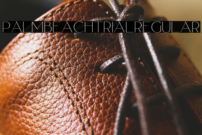 PalmBeachTrialRegular Example 3