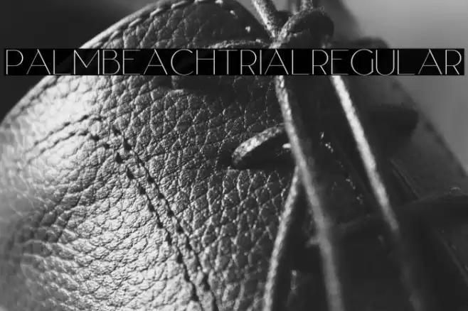 PalmBeachTrialRegular Font examples
