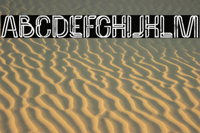 Palma Bold Grunge Example 3