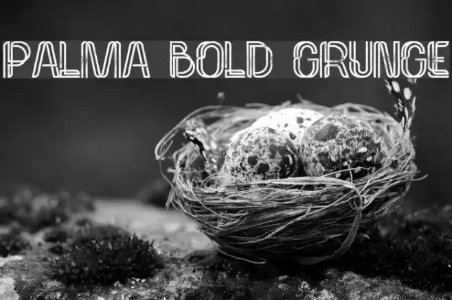 Palma Bold Grunge Font examples