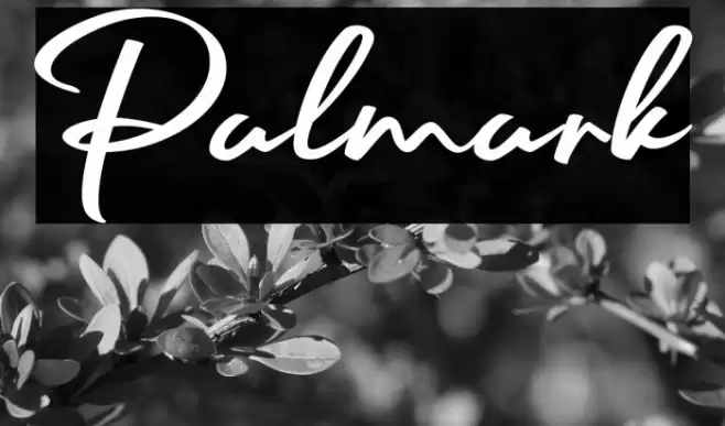 Palmark Font examples