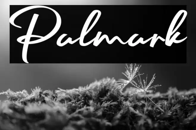 Palmark Font examples