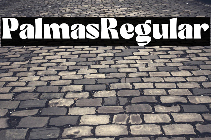 Palmas-Regular Example 2