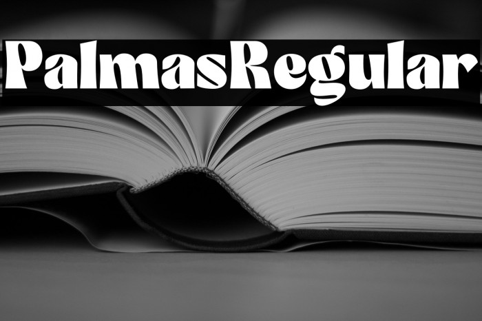 Palmas-Regular Example 3