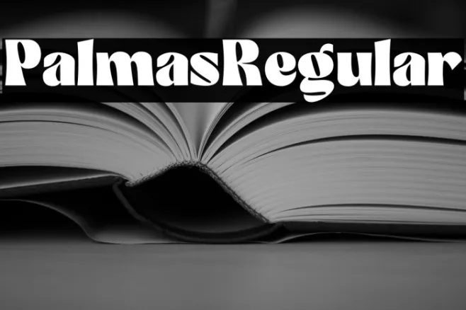 Palmas-Regular Example 3