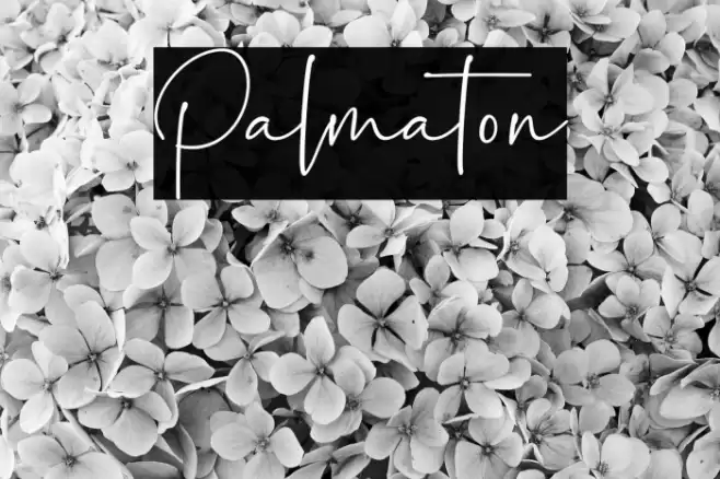 Palmaton Font examples
