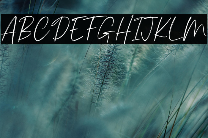 Palmergia Personal Use Example 1