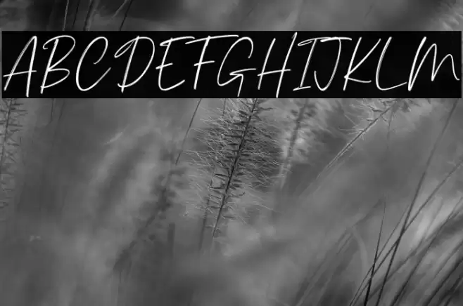 Palmergia Personal Use Font examples