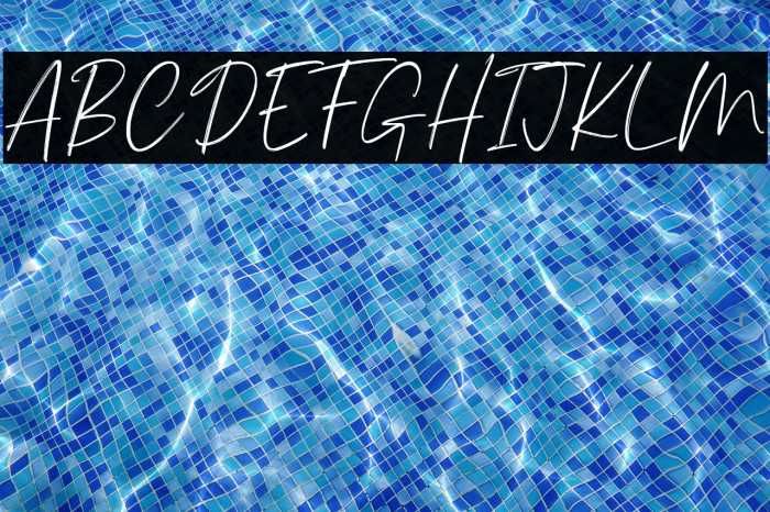 Palmergia Personal Use Example 2