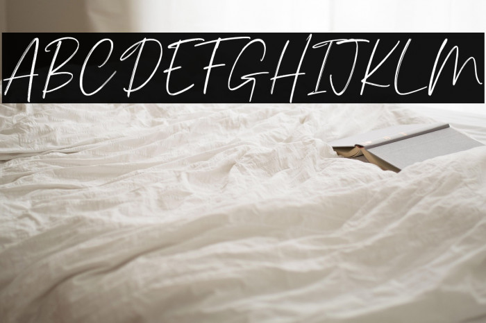 Palmergia Personal Use Example 3