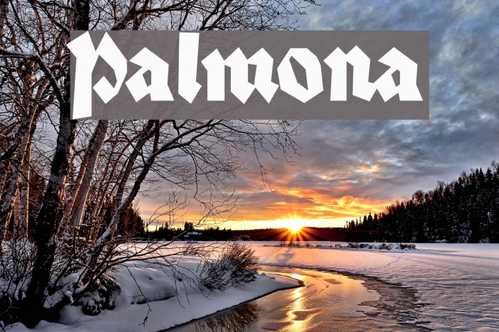 Palmona フォント examples