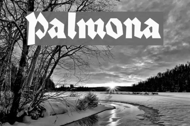 Palmona Font examples