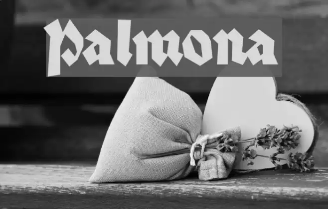 Palmona Font examples