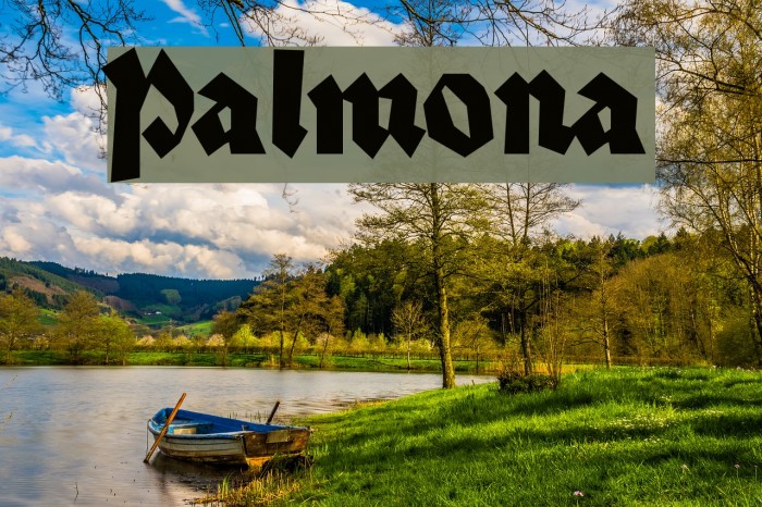 Palmona フォント examples
