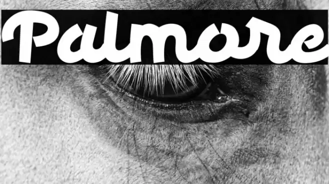 Palmore Font examples