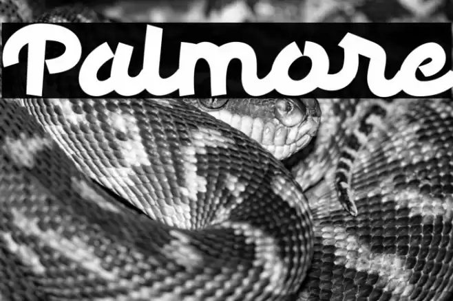 Palmore Font examples