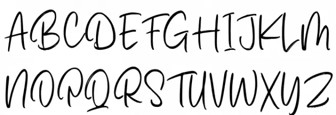 Palms & Chill Font Litere mari