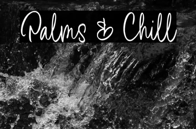 Palms & Chill Font examples