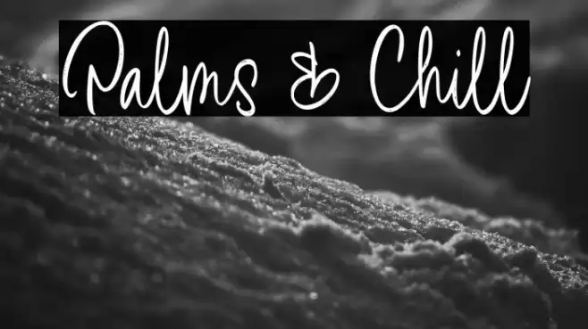Palms & Chill Font examples