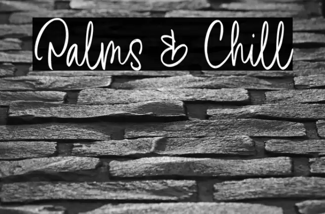Palms & Chill Font examples