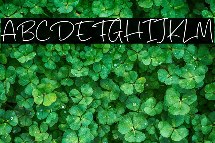 Palms Delight Fonte examples