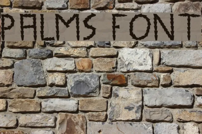 Palms Example 2