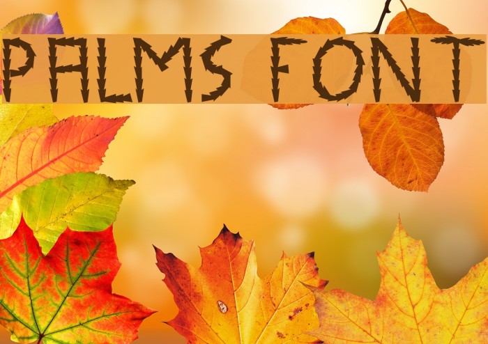 Palms Font examples