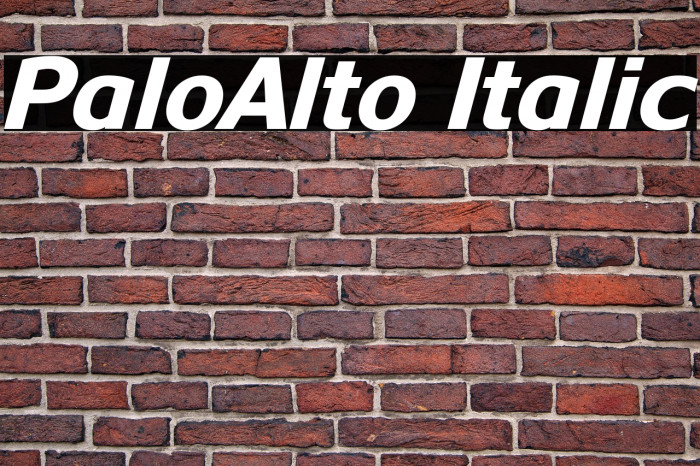 PaloAlto Italic Example 1