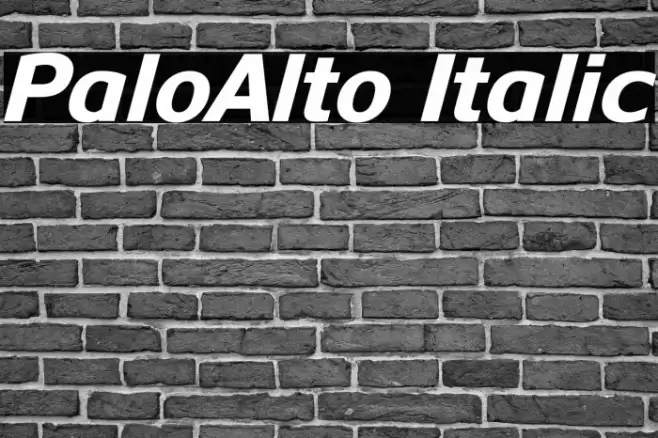PaloAlto Italic Font examples