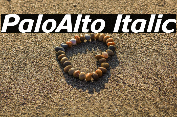 PaloAlto Italic Example 3