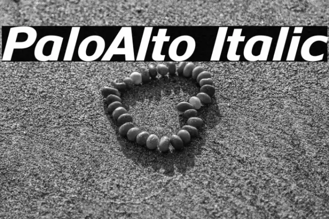 PaloAlto Italic Font examples