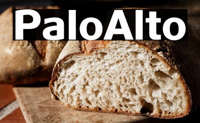 PaloAlto Example 1