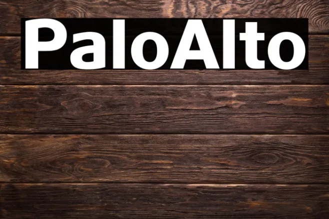 PaloAlto Example 2
