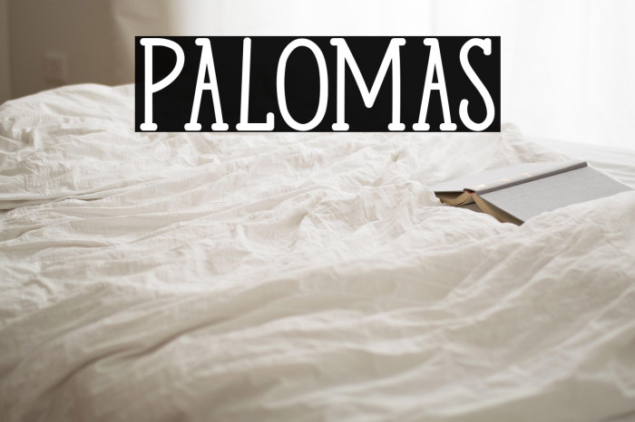 Palomas Example 1