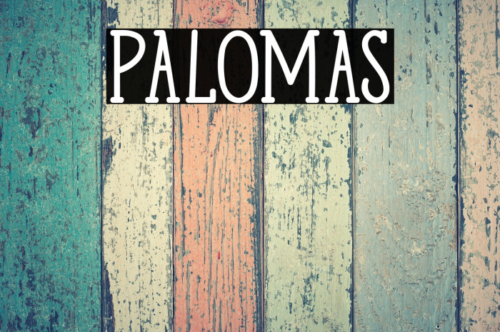 Palomas Example 2