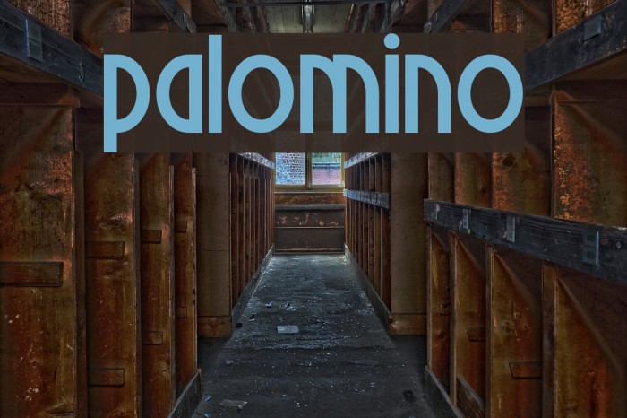 Palomino Schriftart examples