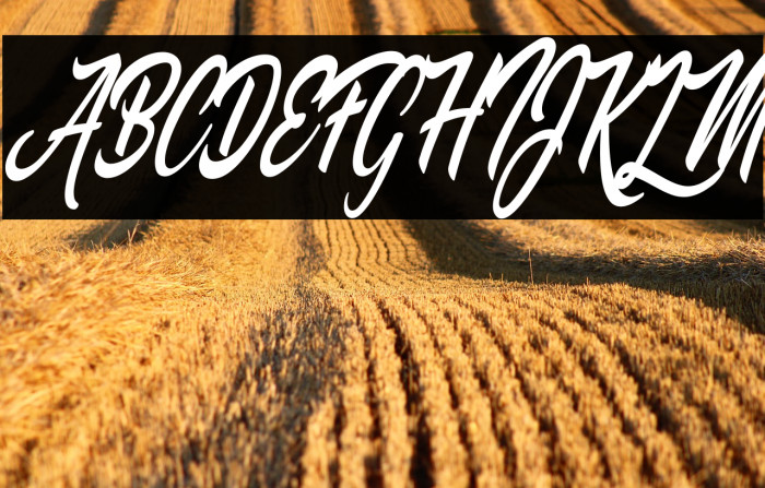 Palomita Personal Use Regular Example 1