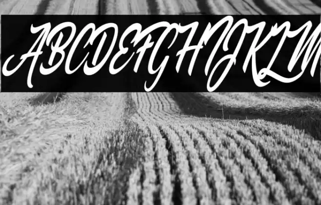 Palomita Personal Use Regular Font examples