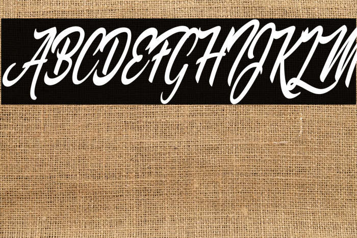 Palomita Personal Use Regular Example 2