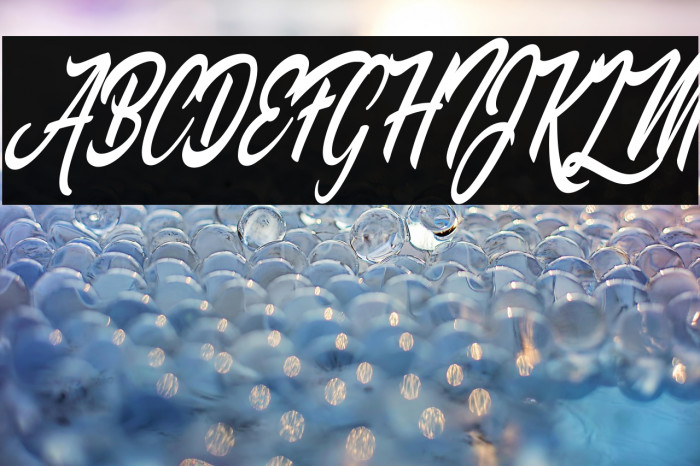 Palomita Personal Use Regular Example 3