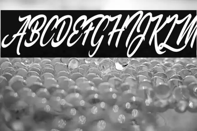 Palomita Personal Use Regular Font examples