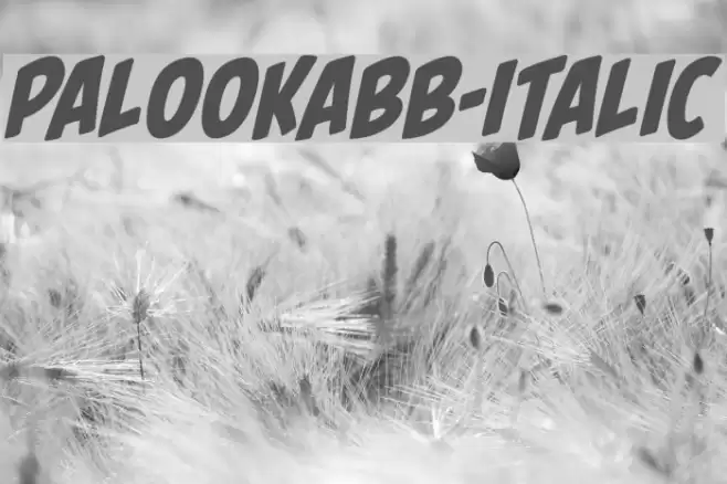 PalookaBB-Italic Font examples