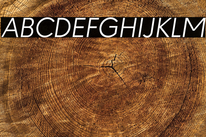 Paloseco Light Italic Example 1