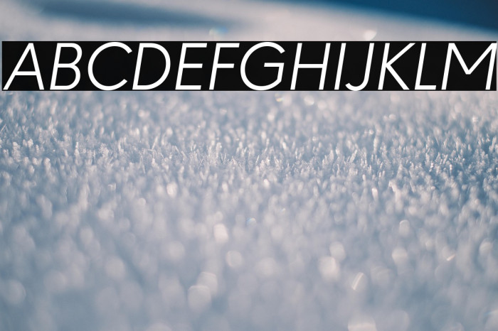 Paloseco Light Italic Example 2