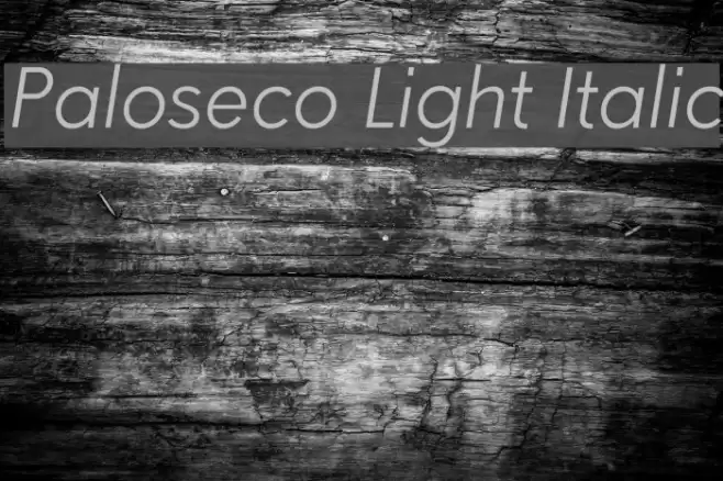 Paloseco Light Italic Font examples